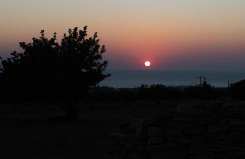 Pegeia Villa | Adonis Villa