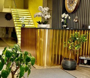 Mitrovicë Hotel | Ador Hotel North Mitrovica