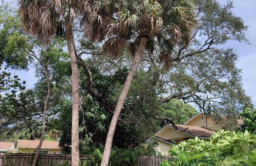Jensen Beach House | Adorable 1 bedroom apt. close to the intracoastal