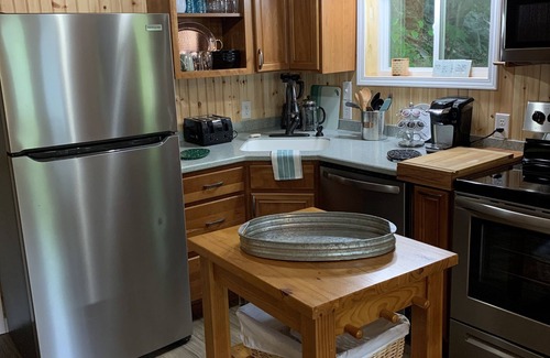 Candler Cabin | Adorable Mountain Cabin near Asheville
