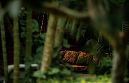 Arusha Cottage | Adorable one room bed room w-shared lounge and kitchen town Ace