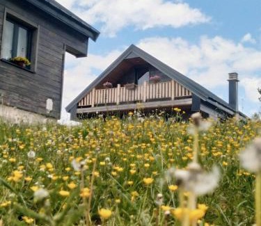 Razvrsje Villa | Adria Nord Chalets