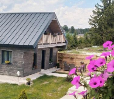 Razvrsje Villa | Adria Nord Chalets