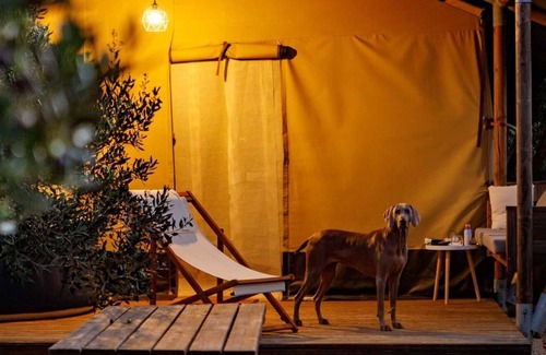 Donje Selo Villa | Adriatic Heritage Glamping No.1