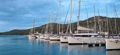 Drage House | Adriaticoast Holiday Apartments- Dalmatian Dream