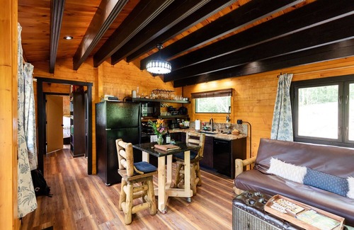 Brevard Cabin | Adults-only Mountain Retreat! Anniversary, Honeymoon, Romantic Getaways.