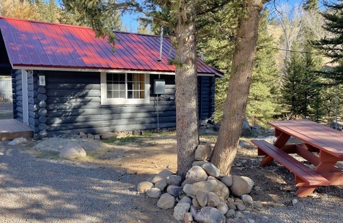 Almont House | Adventure Awaits: Riverfront Cabins in the Heart of the Rockies