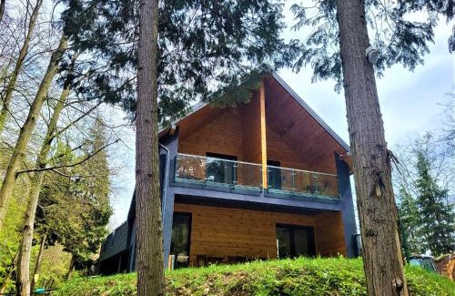 Baia Mare Resort | Adventure Lake Resort - Simared