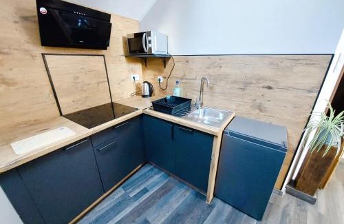 Ujazd Apartment | AE BERG Apartamenty