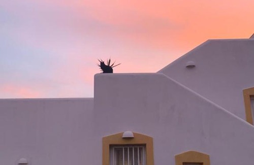 Krotiri Apartment | Aegean Overlook Studios