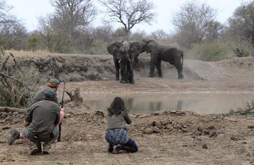 Thorny Bush Game Reserve Cabin | Africa on Foot