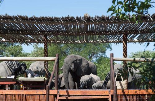 Thorny Bush Game Reserve Cabin | Africa on Foot