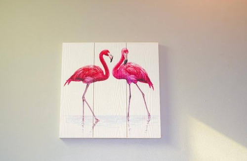 Dhahran Resort | Afaq Tourist