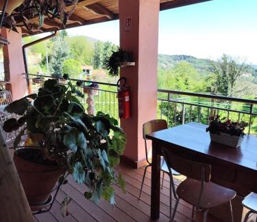 Pettinengo House | affittacamere La Betulla