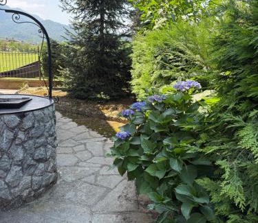 Cervasca House | Affittacamere La CRICOVA di Iulia