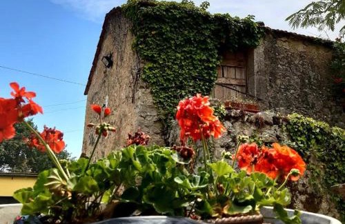 Montaquila Bed & Breakfast | Affittacamere Varone
