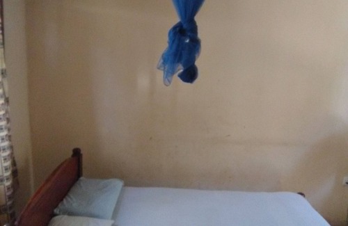 Gede House | Affordable, Cozy, Furnished, Studio