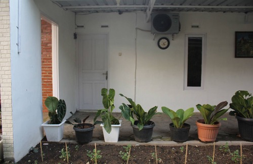 Kalasan House | Affordable Garden Guesthouse