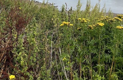 Rampton House | Affordable Holiday Home Near Lincoln