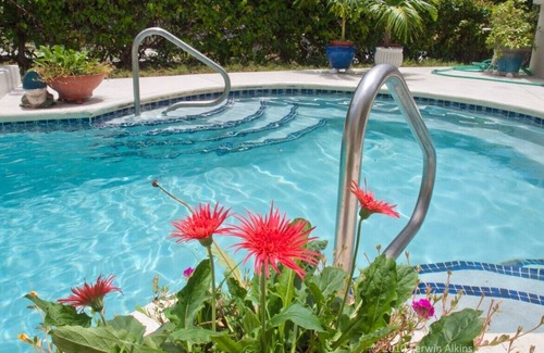 Halcyon Heights Apartment | Affordable Luxury Apartment in Holetown St. James