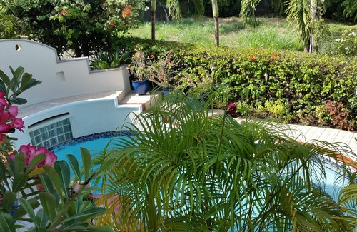 Halcyon Heights Apartment | Affordable Luxury Apartment in Holetown St. James