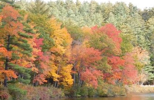 Sunday River Area House | Affordable Vacation Rental, Six Miles From Sunday River Ski Resort