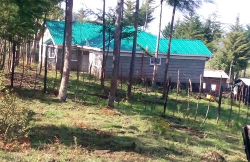 Aberdare National Park House | Africa Escapades Homestay