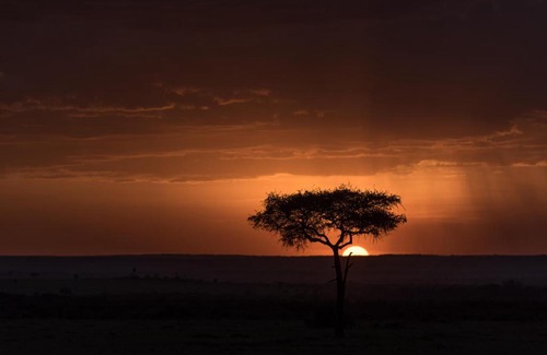 Loliondo Cabin | Africa Safari Maasai Boma
