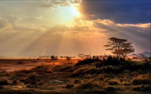 Loliondo Cabin | Africa Safari Maasai Boma