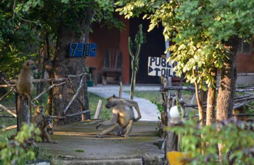 Selous Game Reserve Other | Africa Safari Selous Camping