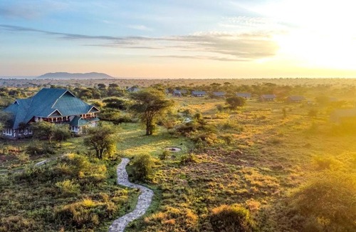 Serengeti National Park Other | Africa Safari Serengeti Ikoma Camping