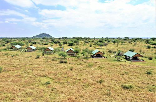 Serengeti National Park Cabin | Africa Safari Serengeti Ikoma