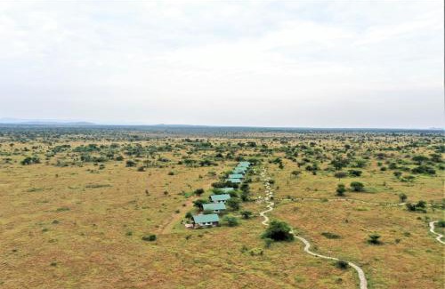 Serengeti National Park Cabin | Africa Safari Serengeti Ikoma