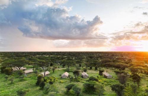 Sinoni Other | Africa Safari South Serengeti Ndutu Camping