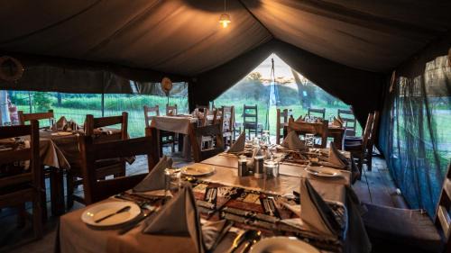 Sinoni Other | Africa Safari South Serengeti Ndutu Camping