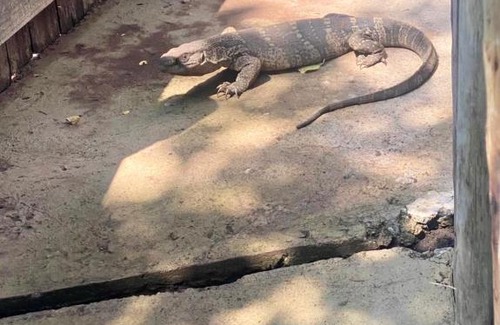 Hammanskraal Other | Africa Wilderness Bush Camps - Mpofu Bush Camp