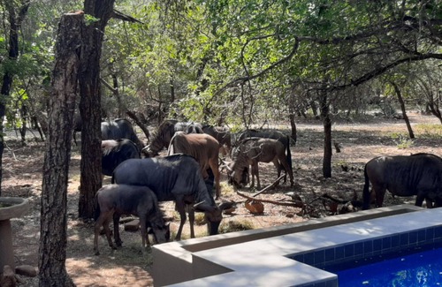 Marloth Park Villa | African Sky Villas