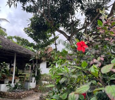 Kokrobite Resort | African Treasure Gardens And surf Resort