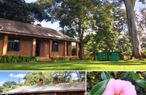 Southern Region Cabin | AfricaWildTruck Eco Camp & Lodge
