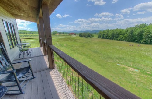 Afton Cabin | Afton Mtn. Vineyards: Damy | 1 Bed, 1 Bath