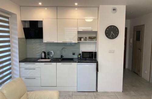 Gliwice Apartment | Aga
