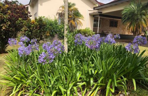 Mandeville Bed & Breakfast | Agapantha Cottage