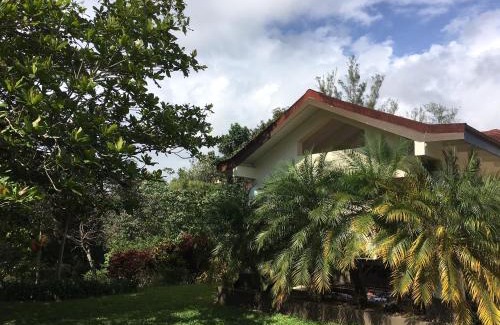 Mandeville Bed & Breakfast | Agapantha Cottage