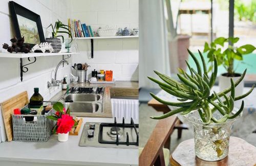Elgin House | Agapanthus garden cottage