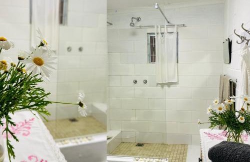 Elgin House | Agapanthus garden cottage