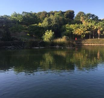 Benalmadena Costa Apartment | Agata 501