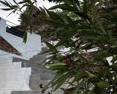 Kantanos-Selino Apartment | Agnanti