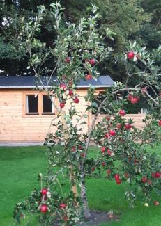 Baekke House | Agnes Bed and Breakfast
