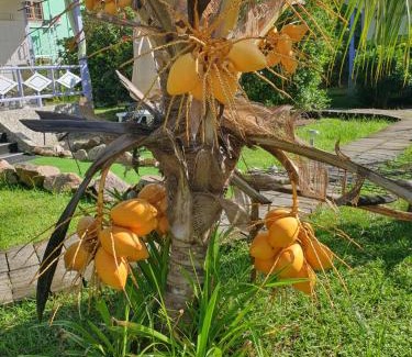 La Digue House | Agnes Cottage - Emerald