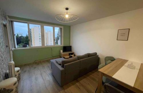Chalon-sur-Saone Apartment | Agréable logement 8 personnes